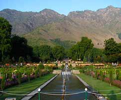 Kashmir Honeymoon Tour Package