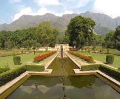 Kashmir Honeymoon