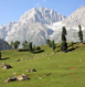 Kashmir Tour Packages